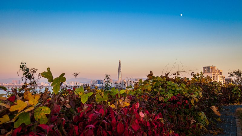 Lotte World Towerphoto preview