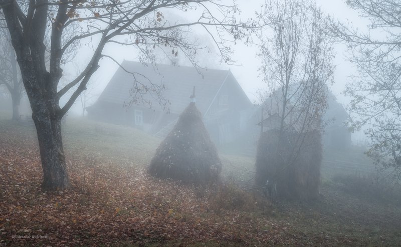 карпаты, осень, пейзаж, утро, рассвет, туман Шёпот осени...photo preview