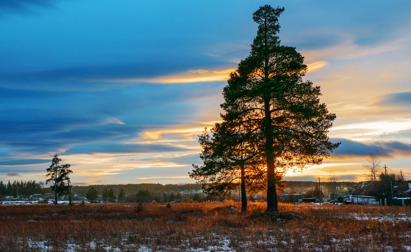Вечерний свет.photo preview