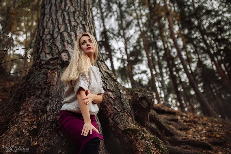 девушка, блондинка, губы, волосы, сосна, корни, лес, дерево, боке, photo preview