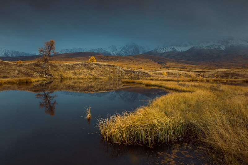 алтай, осень, золотая осень, горы, пейзаж, вечер photo preview