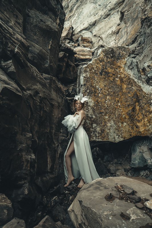 Butterflyphoto preview