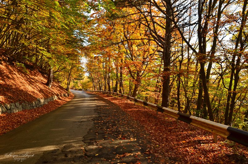 осень, крым, горы, дорога Дорога в Осеньphoto preview