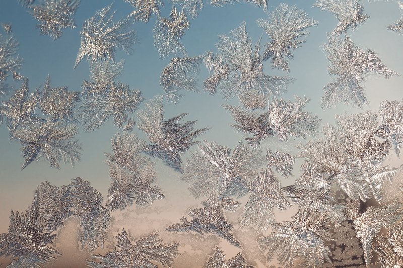 узоры, паттерны, зима Птички (узоры на стекле)photo preview