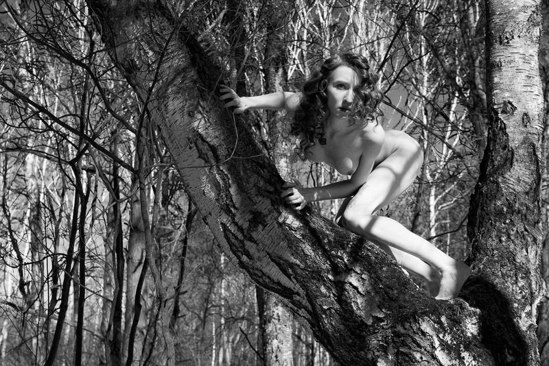 girl, woman, арт, женщина, nude, ню, девушка, модель, model, art Хищник | Predatorphoto preview