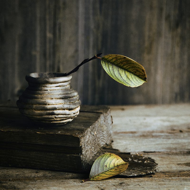 Осенняя хандраphoto preview