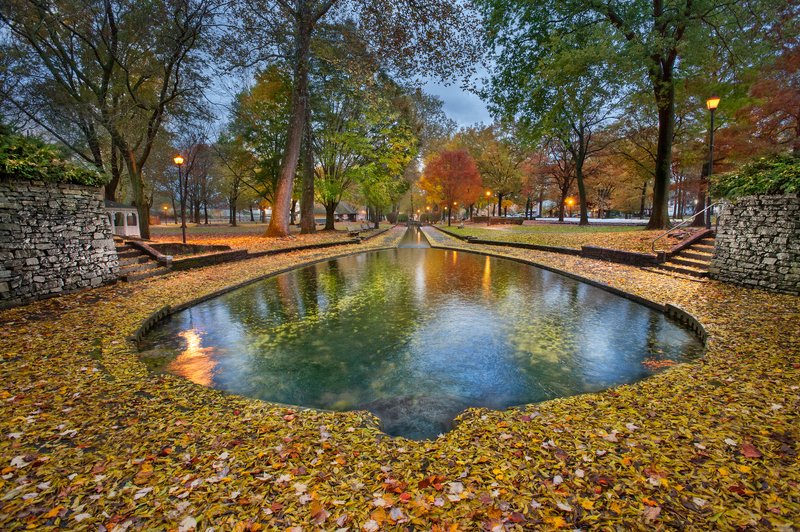 A Walk in the Parkphoto preview