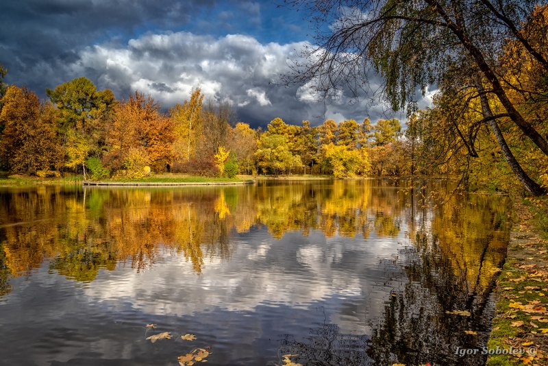 озеро, пейзаж, осень, сокольники, lake, landscape, autumn, sokolniki Облакоphoto preview