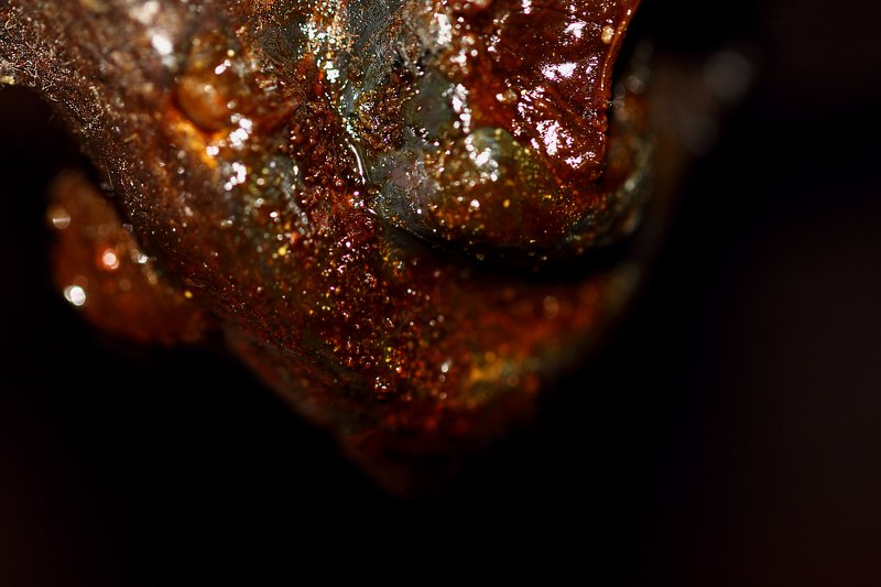 смола, вещество, субстанция, капля, resin, drop, liquid, amorphous, sticky, substance Смола, просто смола...photo preview