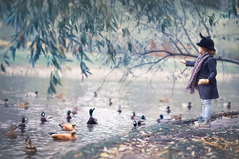 Обед раздели с другомphoto preview