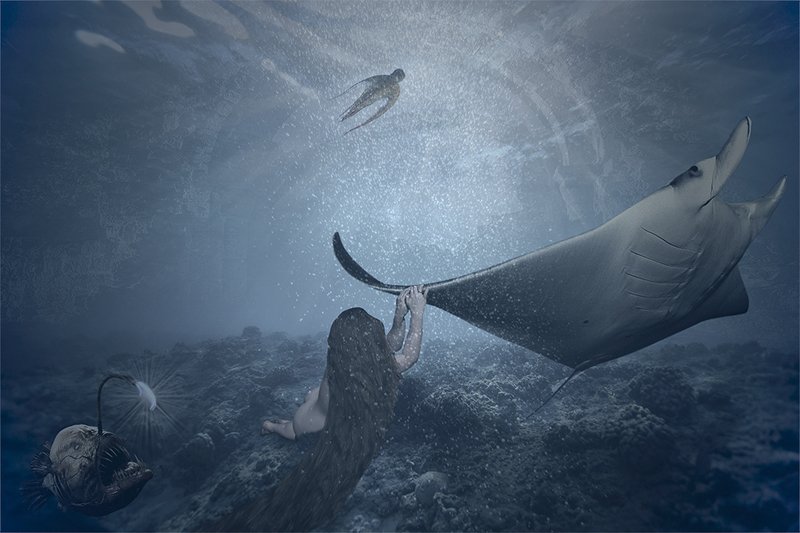 НА ДНЕphoto preview