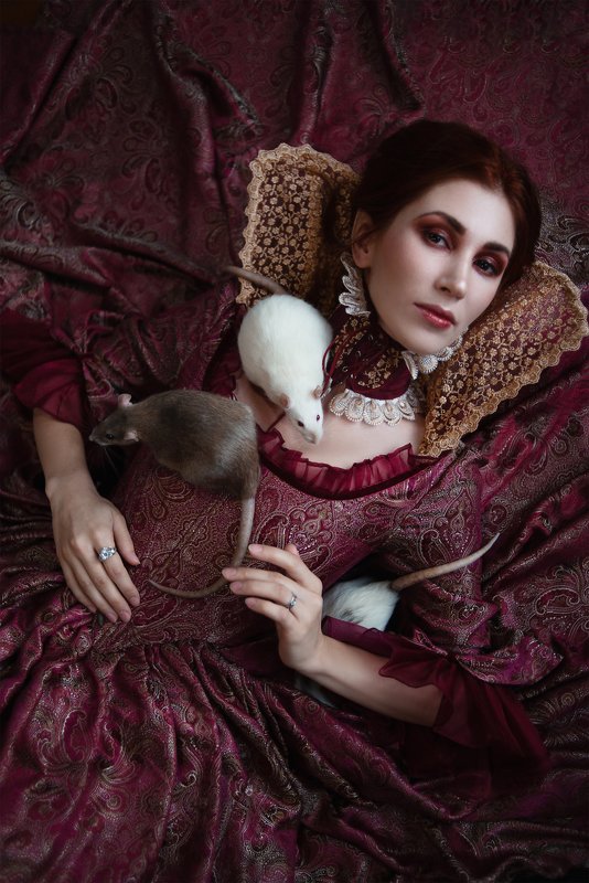 Крысиная королеваphoto preview