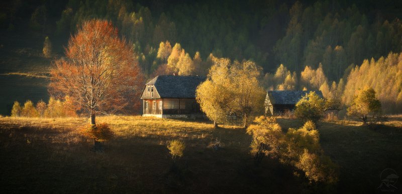 румыния, трансильвания, карпаты, горы, осень, хутор, пейзаж Как и сто лет назадphoto preview