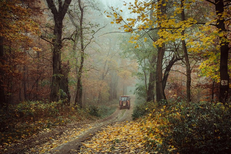 autumn forest fall road осенний трактор wood foggy mist magic jesien dranikowski path machine осенний тракторphoto preview