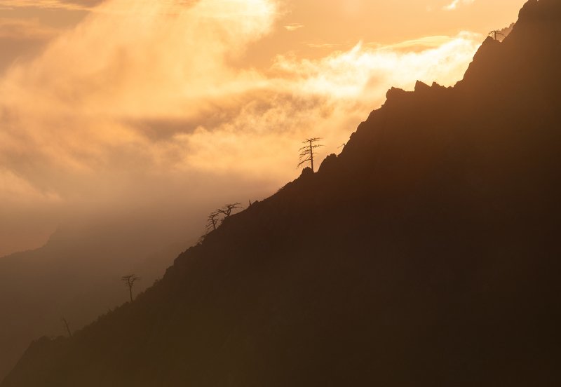 закат, горы, деревья, небо, облака, mountains, trees, sky, cloud Божественное сияниеphoto preview