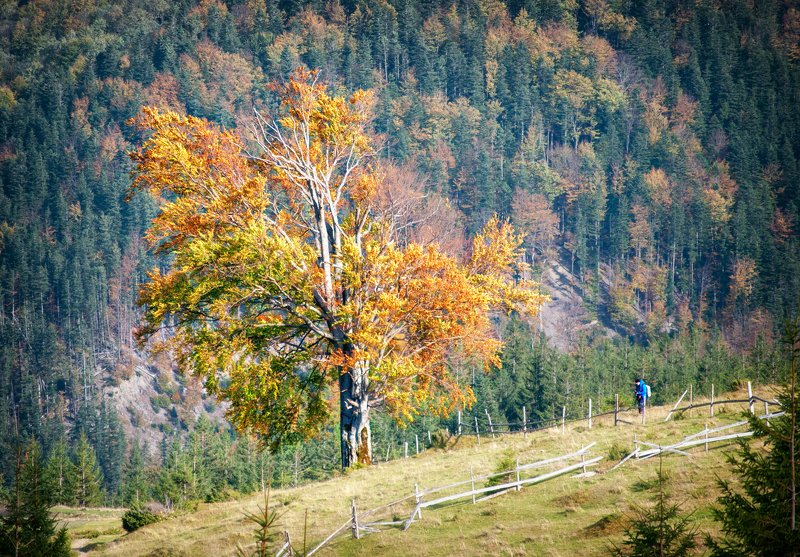 Двое.photo preview