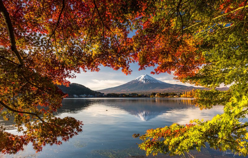 nature landscape japan mountain morning mount fuji  autumn colors 『 Autumn Morning 』photo preview