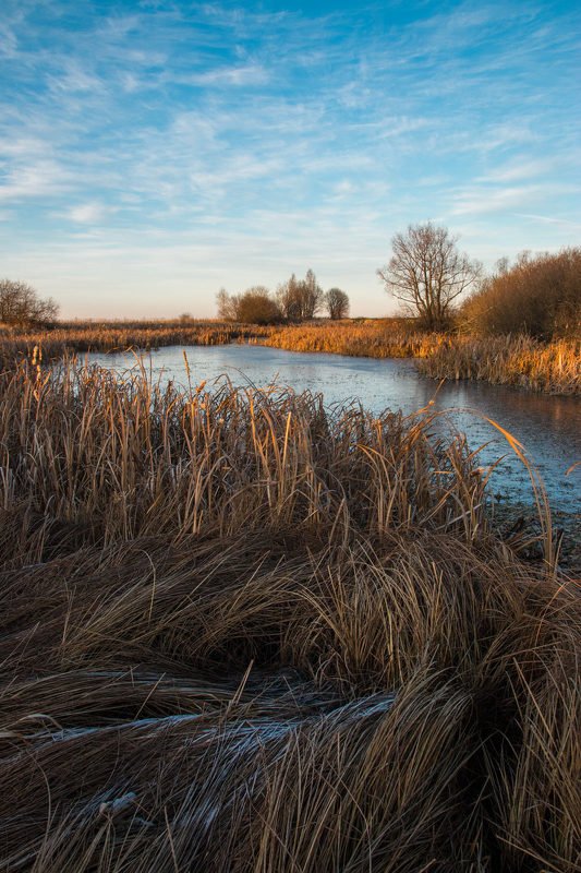 Морозphoto preview