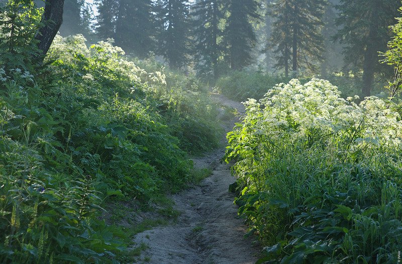 Про утро раннееphoto preview