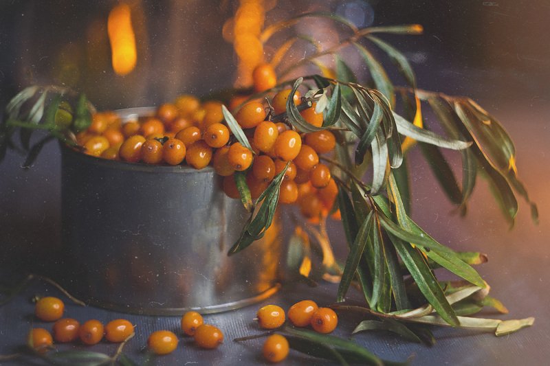 натюрморт, облепиха, осень, ягода, оранжевый, боке, теплый, вкусный, банка, серый, still life Облепиховый натюрмортphoto preview