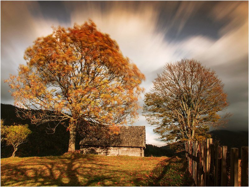 карпаты  осень photo preview