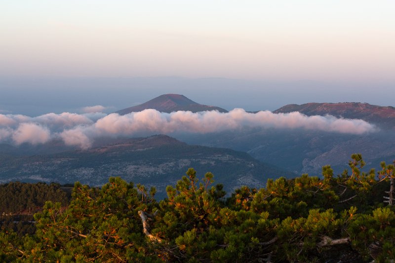 Ypsarionphoto preview