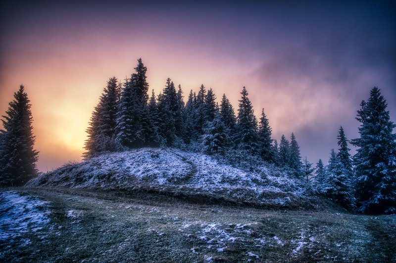 Пробуждение.photo preview