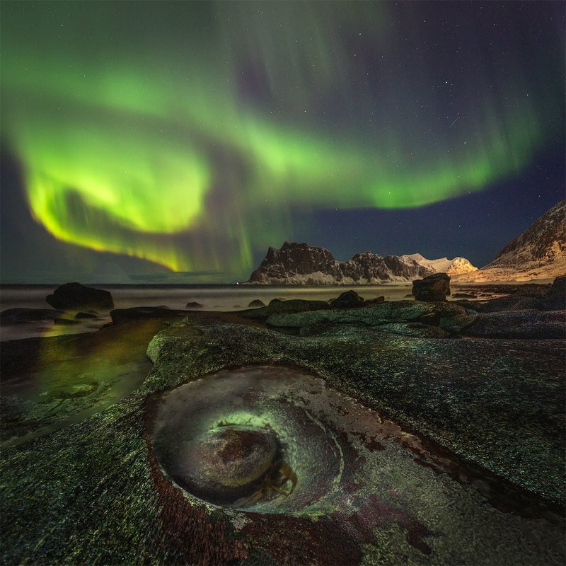 lofoten, лофотен, lofoten islands Arctic Avocado.photo preview