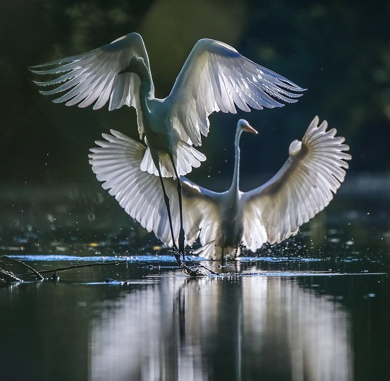 Игрыphoto preview