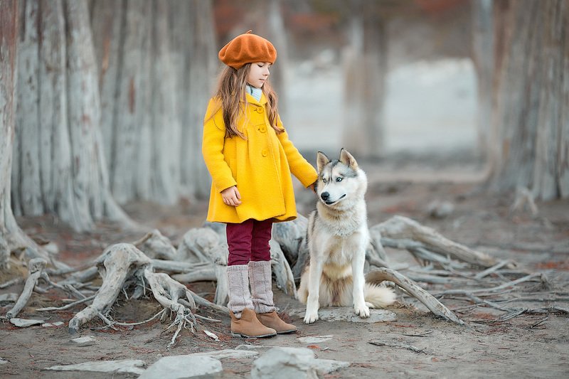 фотограф, зеркальный фотоаппарат canon mark iii, фотопрогулка, девочка, собака, осень, красота, дружба, детский фотограф, счастье, радость, дети на фото, детская фотография, любовь, восторг Лика и Бонниphoto preview
