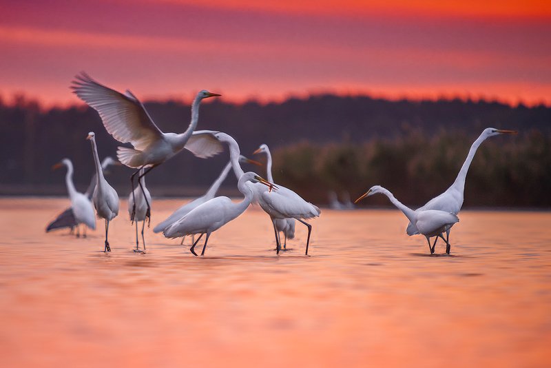 Before Sunrisephoto preview