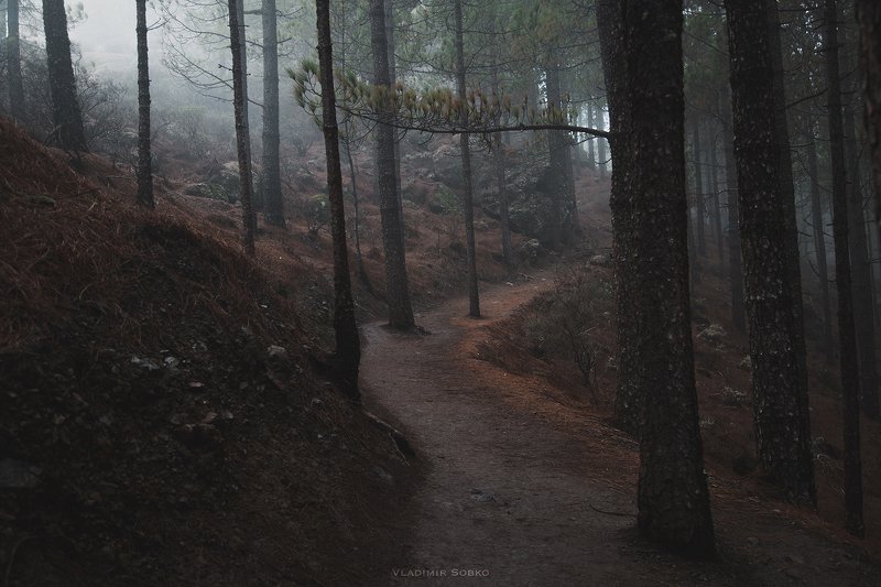 gran canaria roque nublo Roque Nublophoto preview