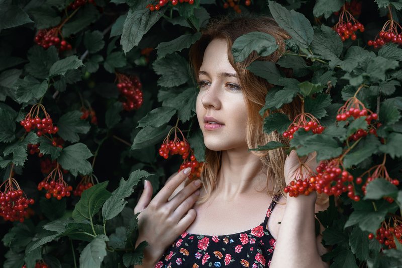 Red viburnum...photo preview