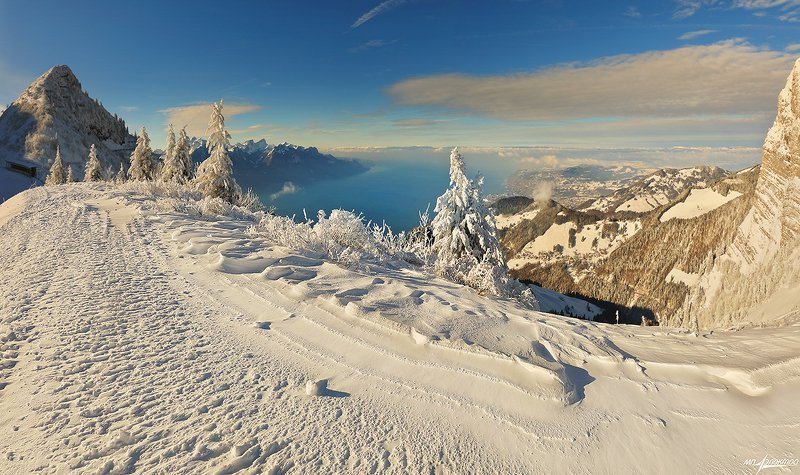 swiss,швейцария,зима,женевское озеро Зимаphoto preview