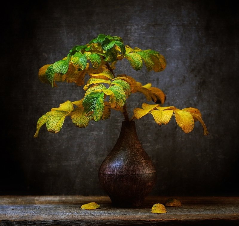 bukiet jesieniphoto preview