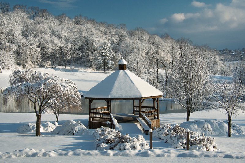 A Walk in the Parkphoto preview