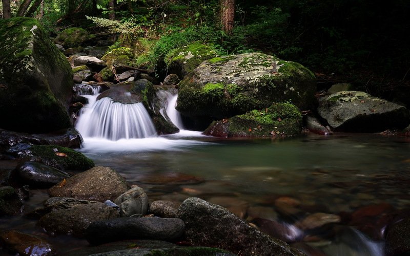 лето река перекат Веер.photo preview