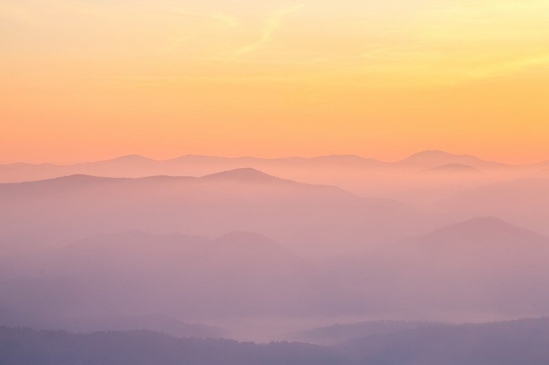 Боржава в пастельных тонахphoto preview