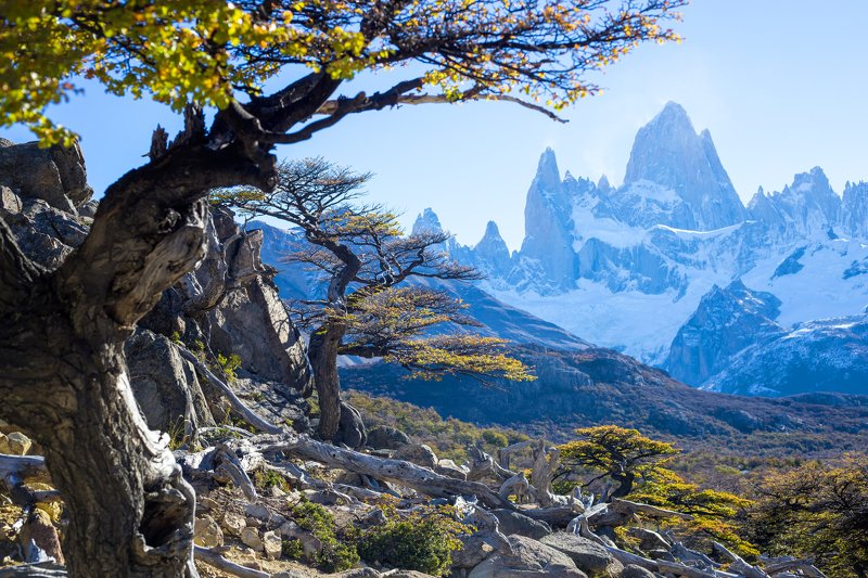 Аргентина, Патагония, Фицрой Гора Фицрой. Аргентина фото превью