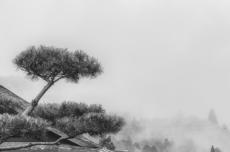 My black and white Hakonephoto preview