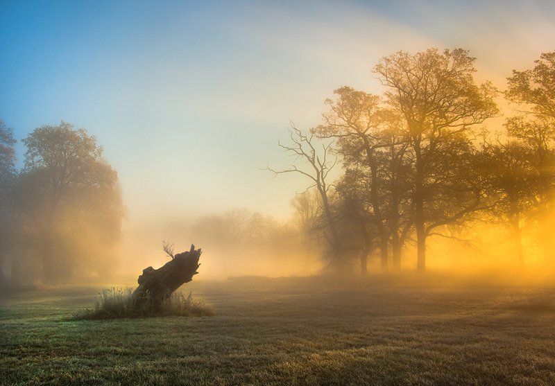 Światło porankaphoto preview
