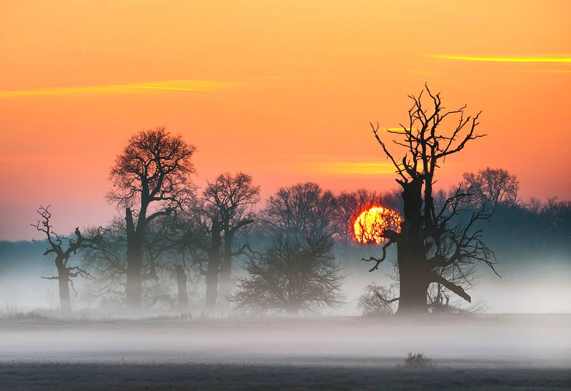 Dzień wstajephoto preview