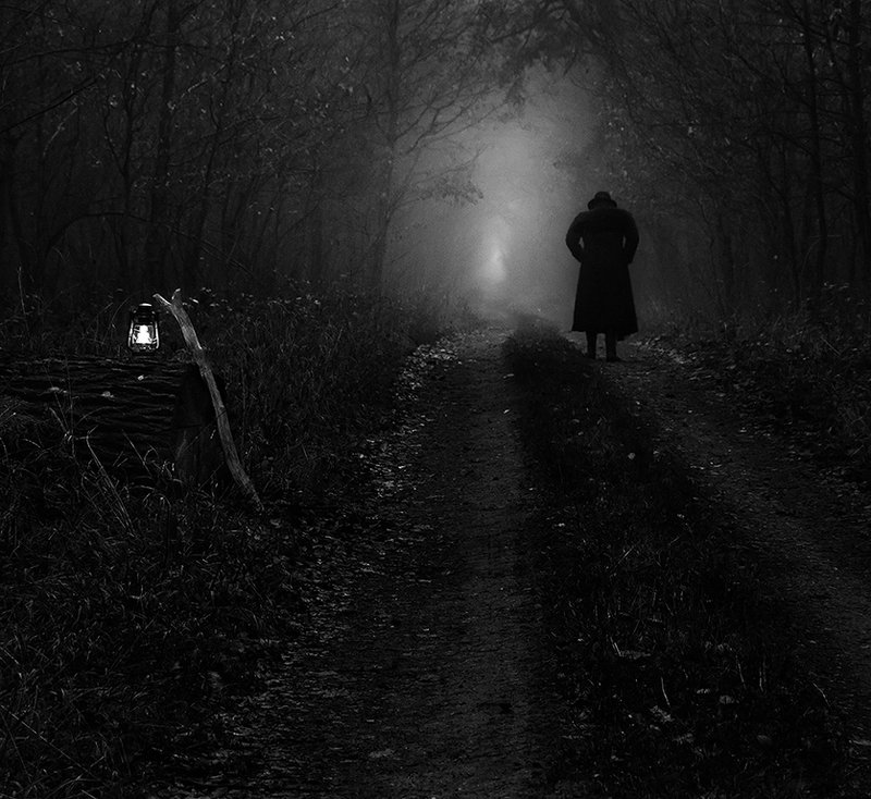 Domu szukającphoto preview