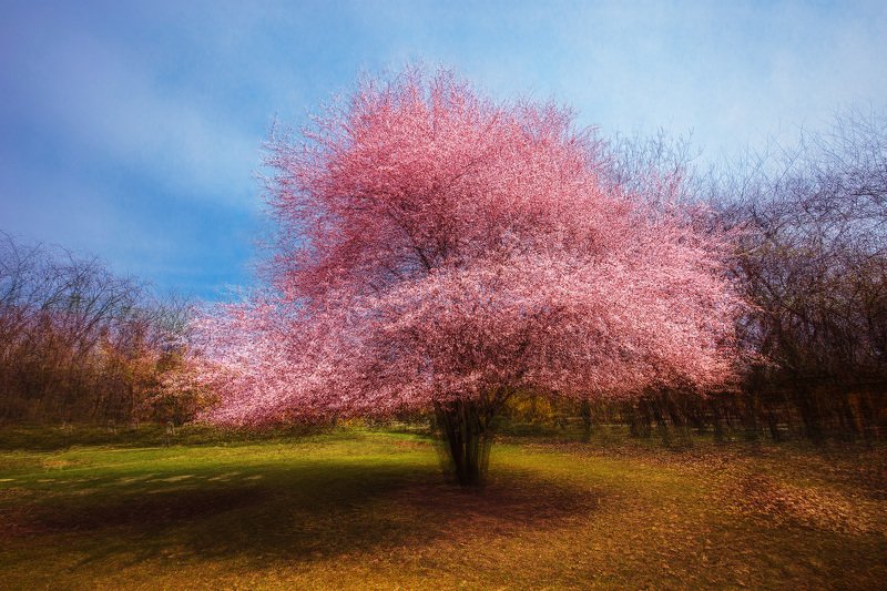 Explore the Earthphoto preview