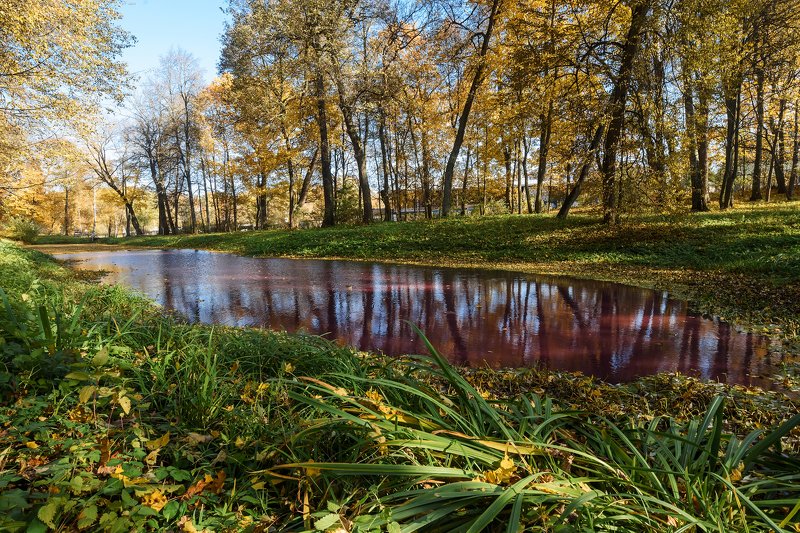 Красный прудphoto preview