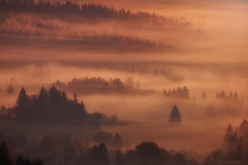 mountains, poland, polish, landscape, sunrise, sunset, colours, autumn, awesome, amazing, adventure, travel, beautiful, morning, forest, fog, mist, trees The Special Onephoto preview