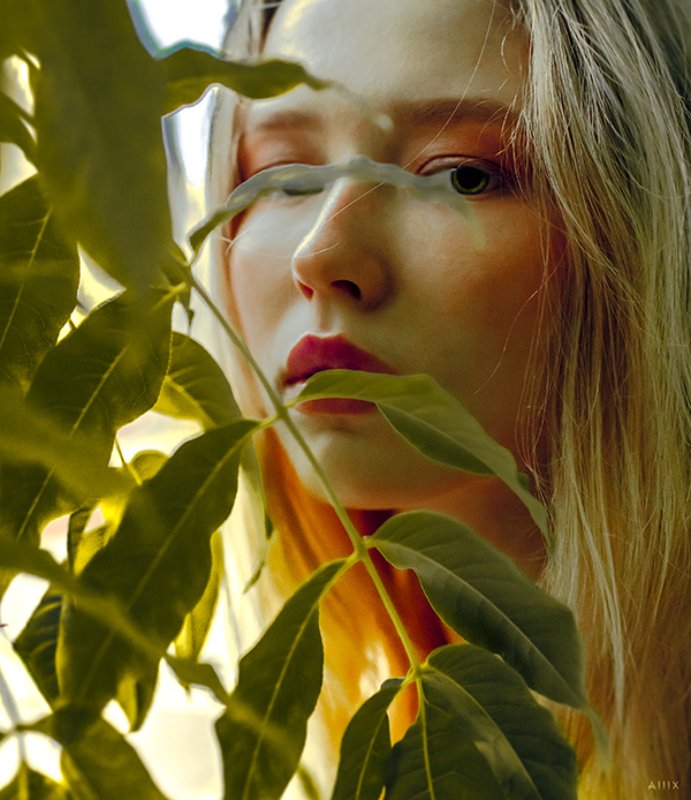 222_alllx фото превью