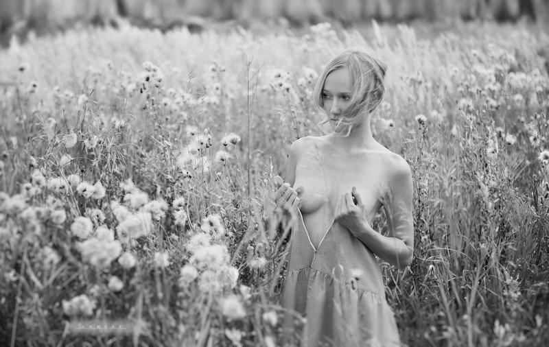 arksaf safark arks #arksaf ***photo preview