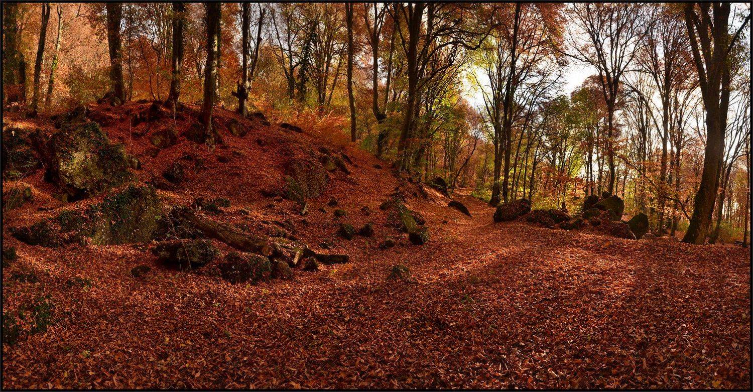 Автор: Владимир Метцгер , Владимир Метцгер
