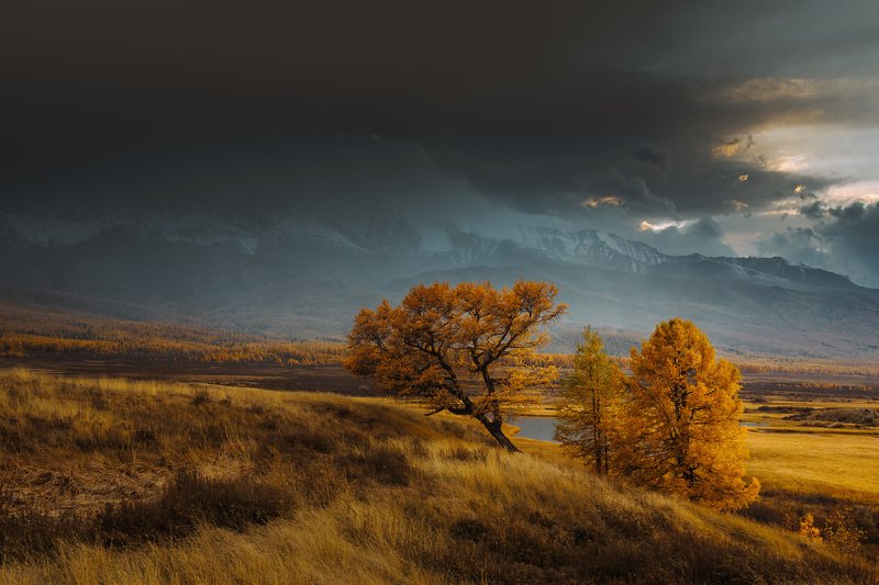 алтай, осень, золотая осень, горы, пейзаж, вечер photo preview